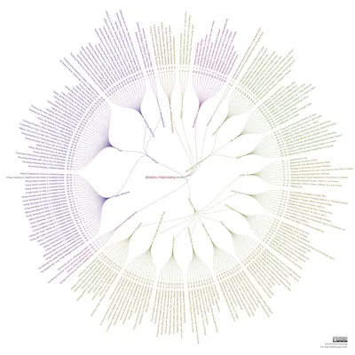 bhikkhu-patimokkha-A1S.png