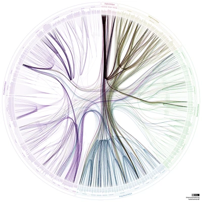 sutta-parallels-A0S.png