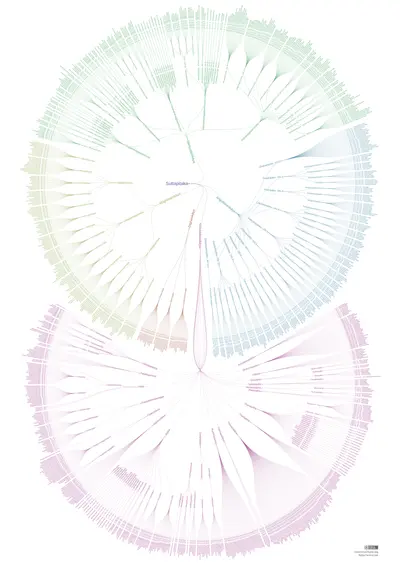 sutta-pitaka-A0VM.png